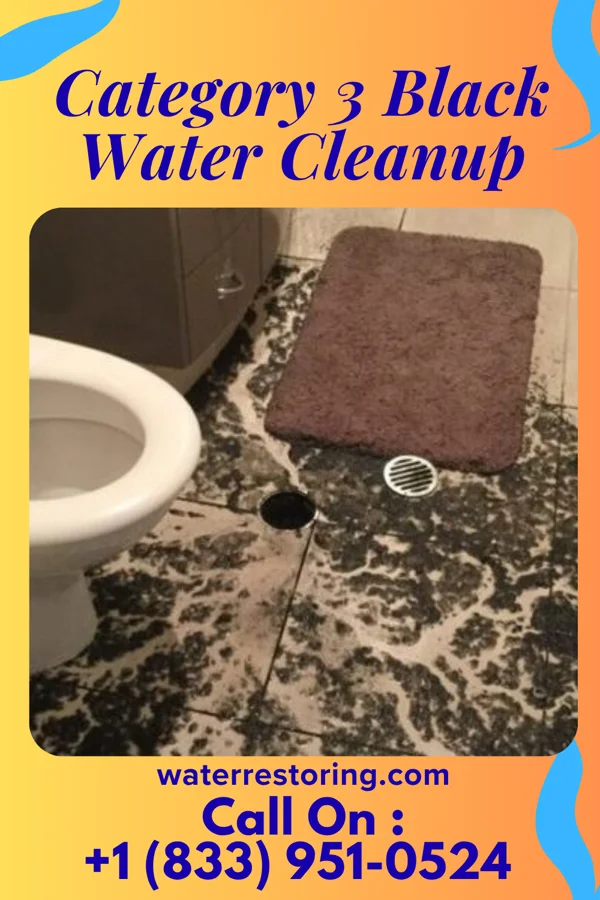 Category 3 Black Water Cleanup in Bayside, WI