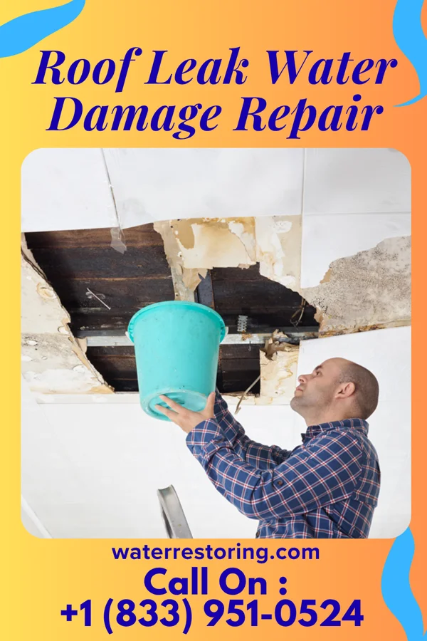 Roof Leak Water Damage Repair in Bayside, WI